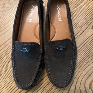 Coach loafers